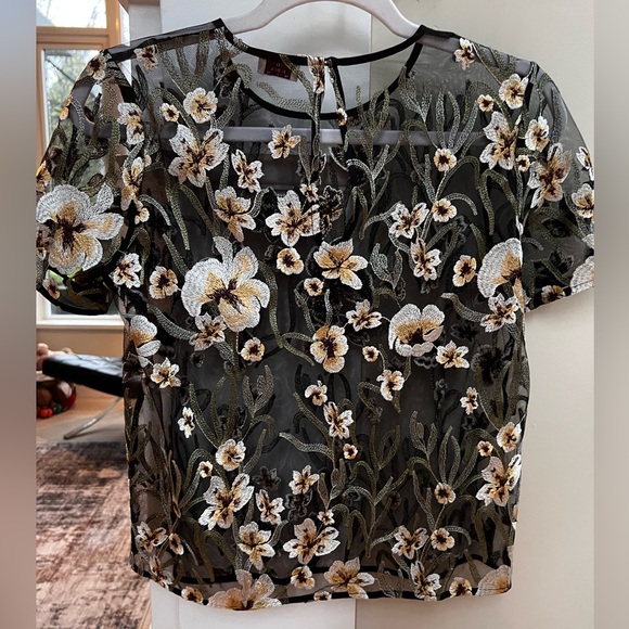 Aritzia Little Moon mesh ebroidered top - Picture 3 of 6